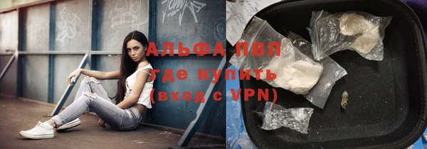 дмт Вяземский