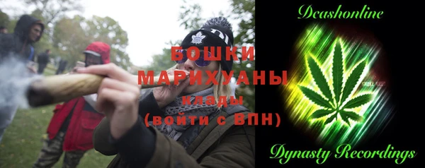 дмт Вяземский