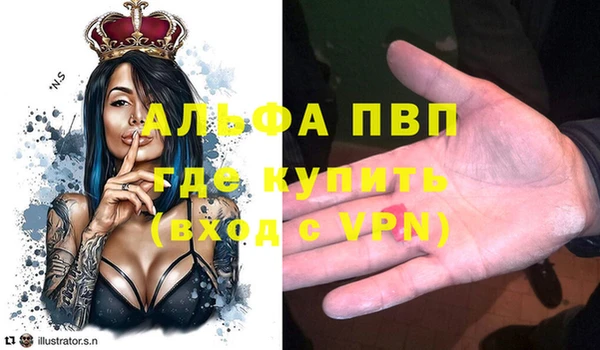 дмт Вяземский