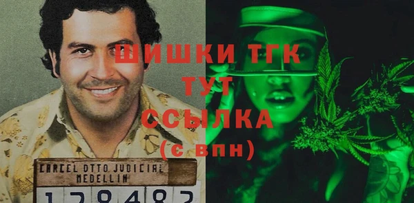 дмт Вяземский
