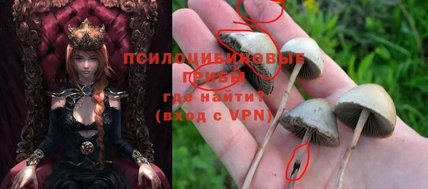 хмурый Пересвет