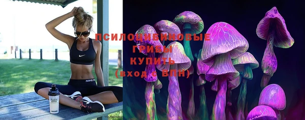 дмт Вяземский