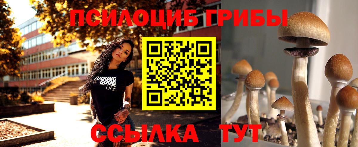 Галлюциногенные грибы GOLDEN TEACHER  Вход с VPN  Кызыл 